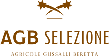 AGB-Selezione-Logo-2erre-srl